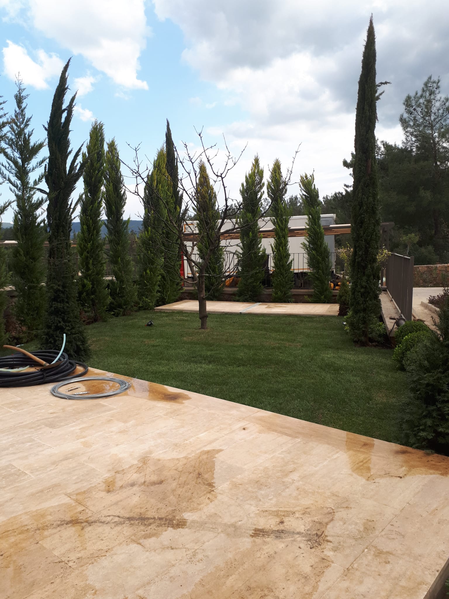 Çekmeköy Ömerli Bitki Satışı