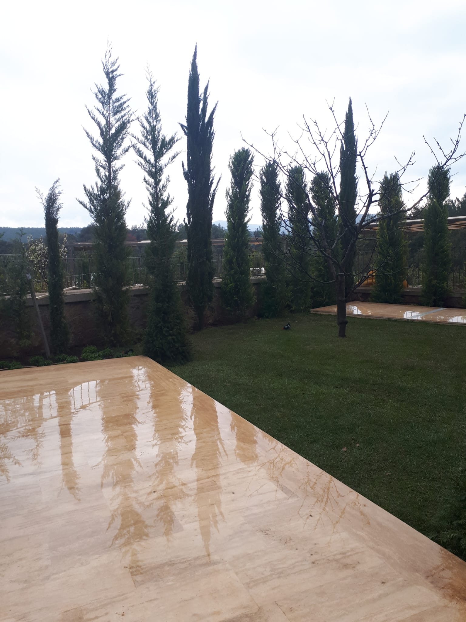 Çekmeköy Bitki Satışı