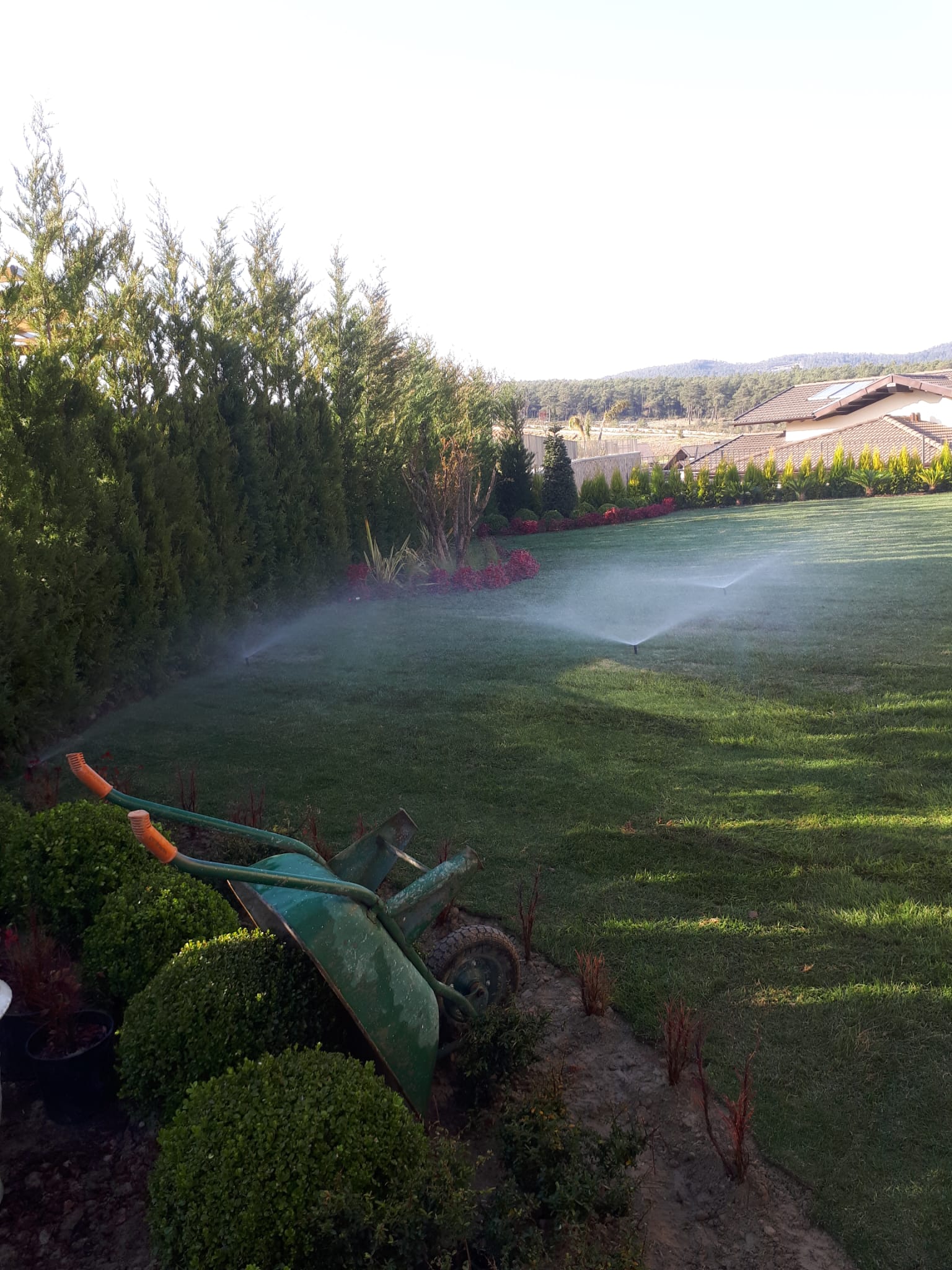 Çekmeköy Ömerli Botanik Bahçe